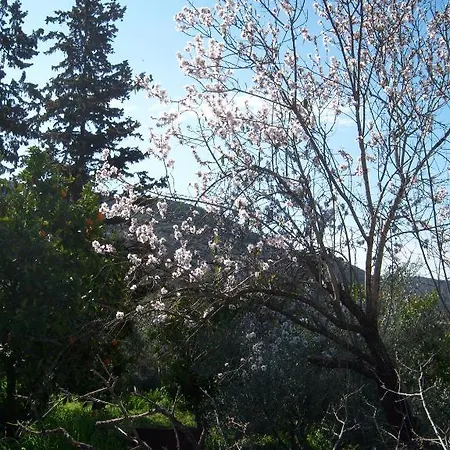 Anerada House Holiday home Apsiou